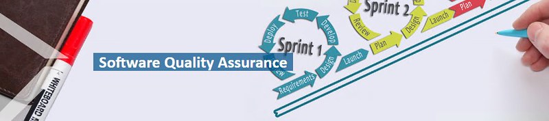 Software assurance infographic