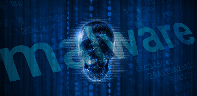 Malware with code and a skull