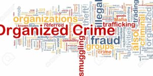organized crime word map definition
