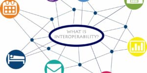 What is Interoperability