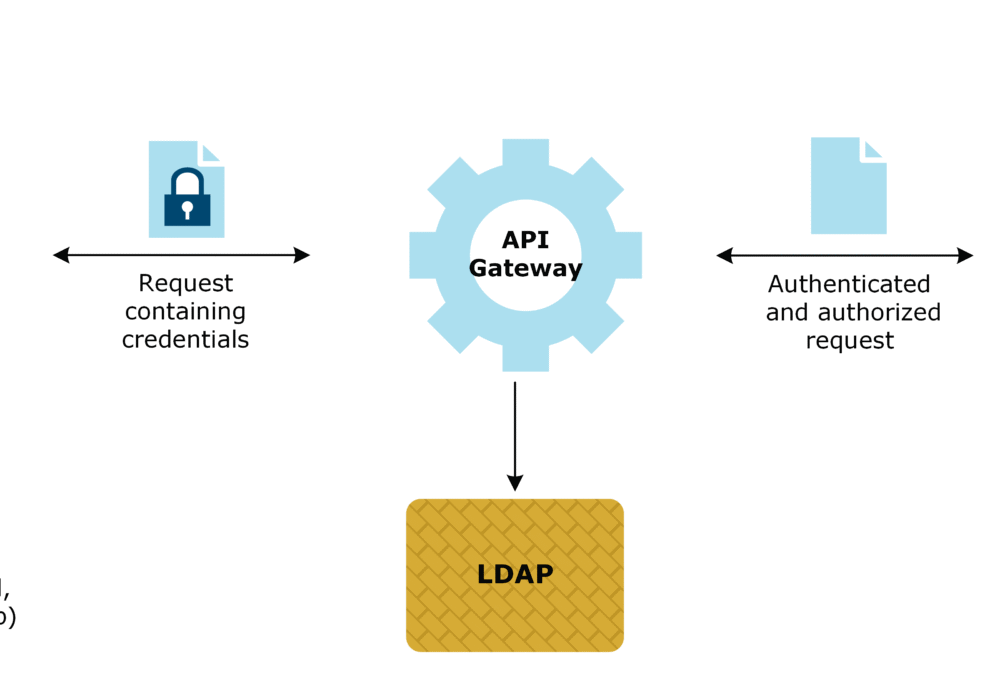 Lightweight Directory Access Protocol (LDAP)