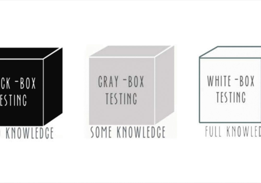 Black Box Testing