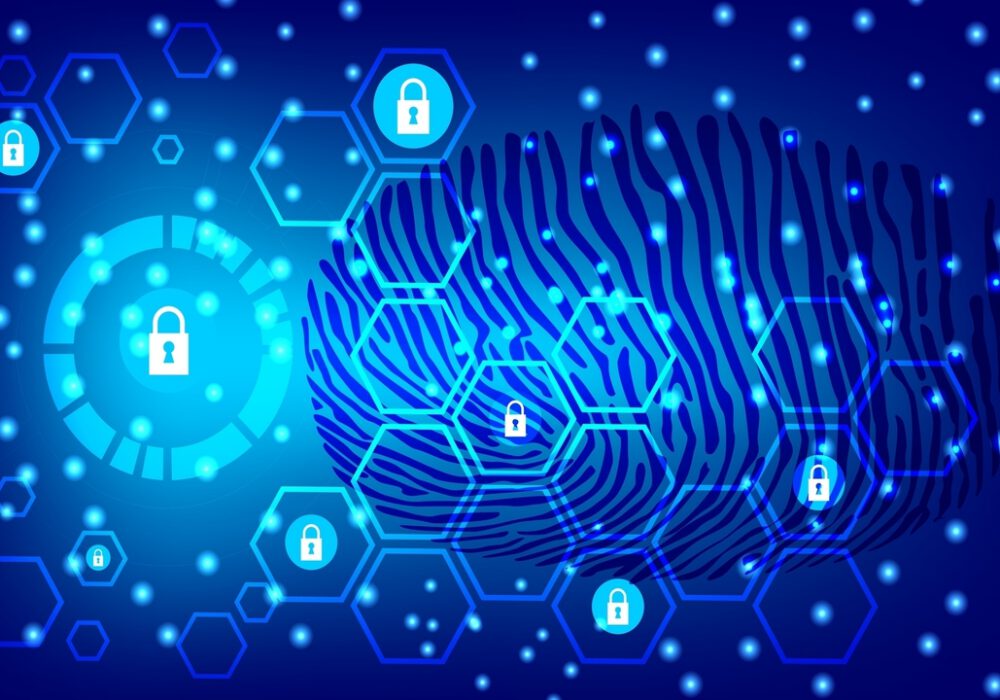 CyberHoot Newsletter – Volume 7
