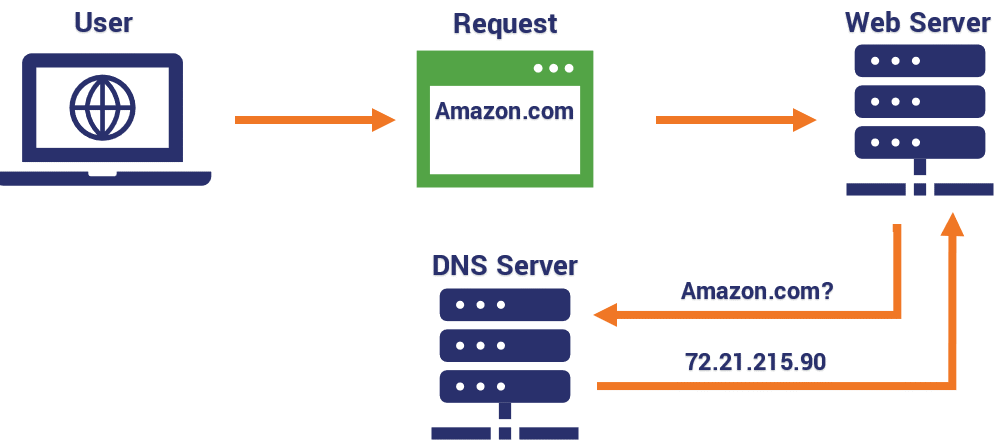 Domain Name System (DNS)