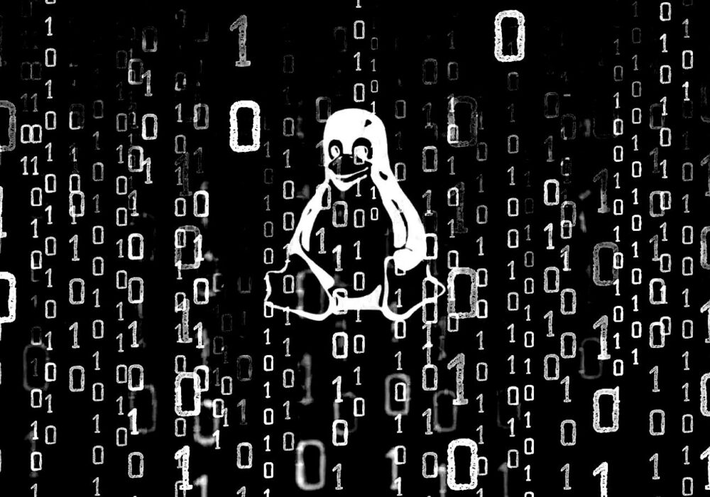 Security Advisory: Critical Linux Vulnerability