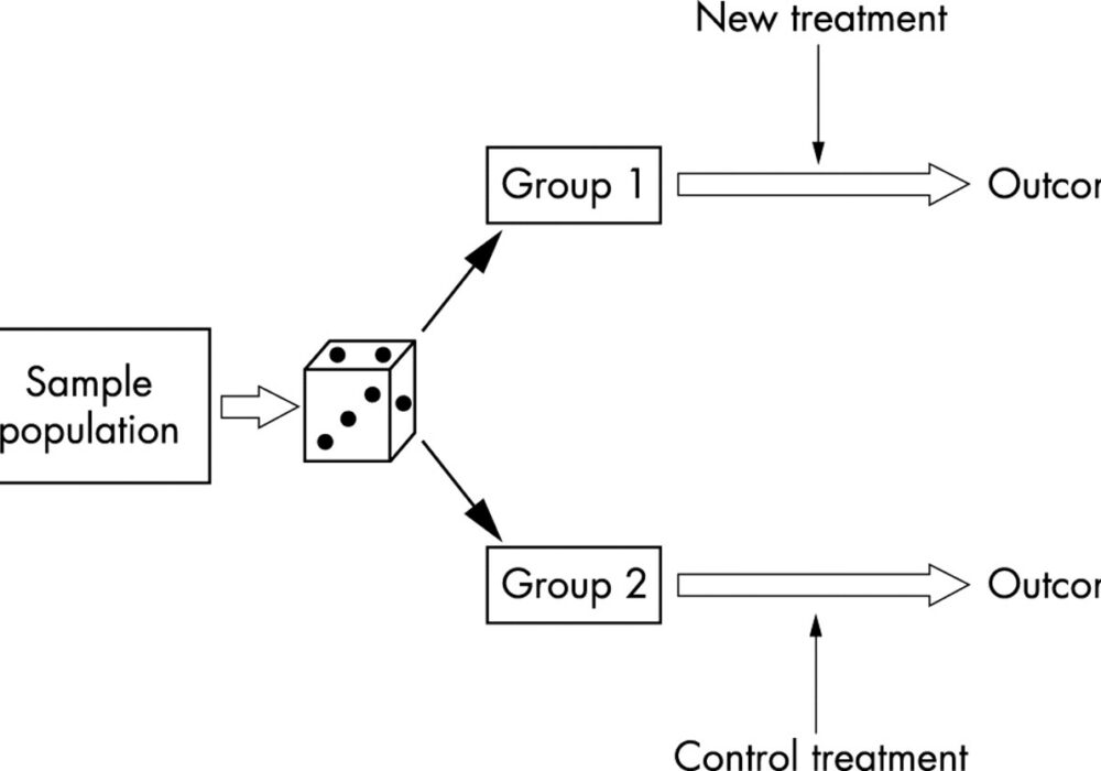 Randomization Function