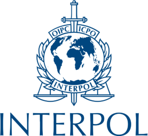 interpol cybrary definition