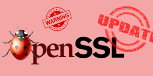 OpenSSL Vulnerability Alert